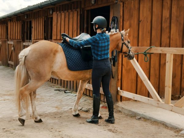 Comment choisir la bonne selle pour votre cheval : guide complet
